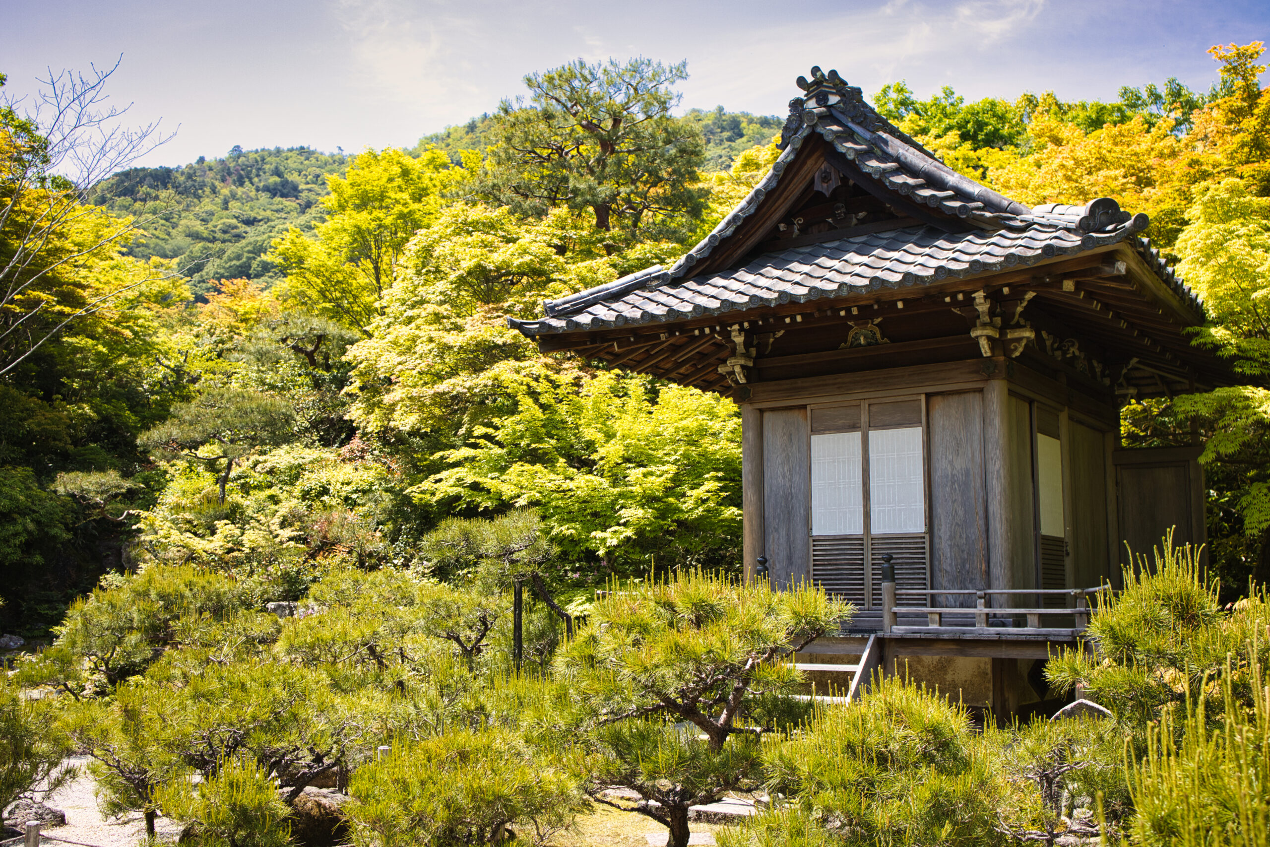 Pace e Tranquillità | Il Giappone in solitaria – Ep.1