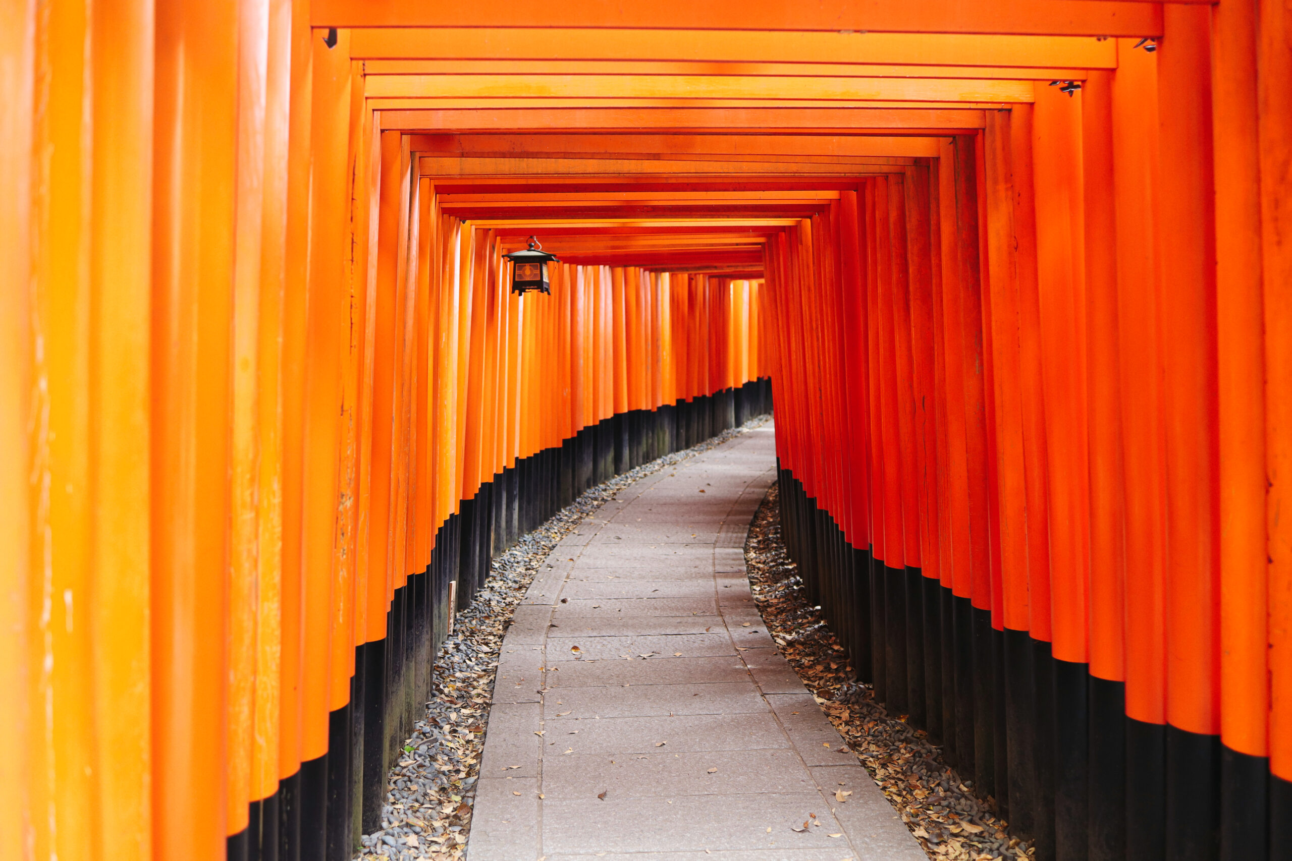 Innocenza e Tradizione | Il Giappone in solitaria – Ep.3